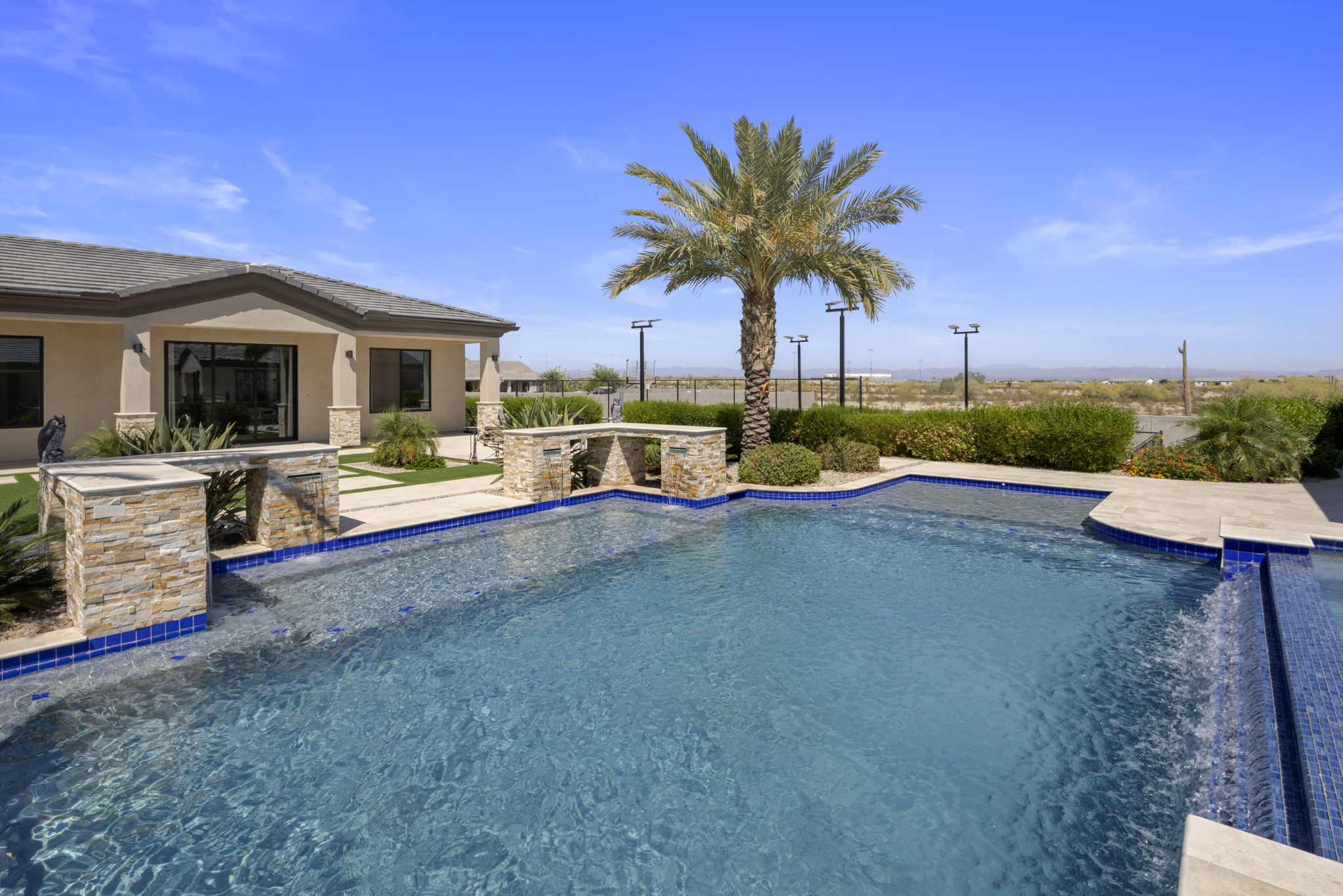 Pool with palm tree and views